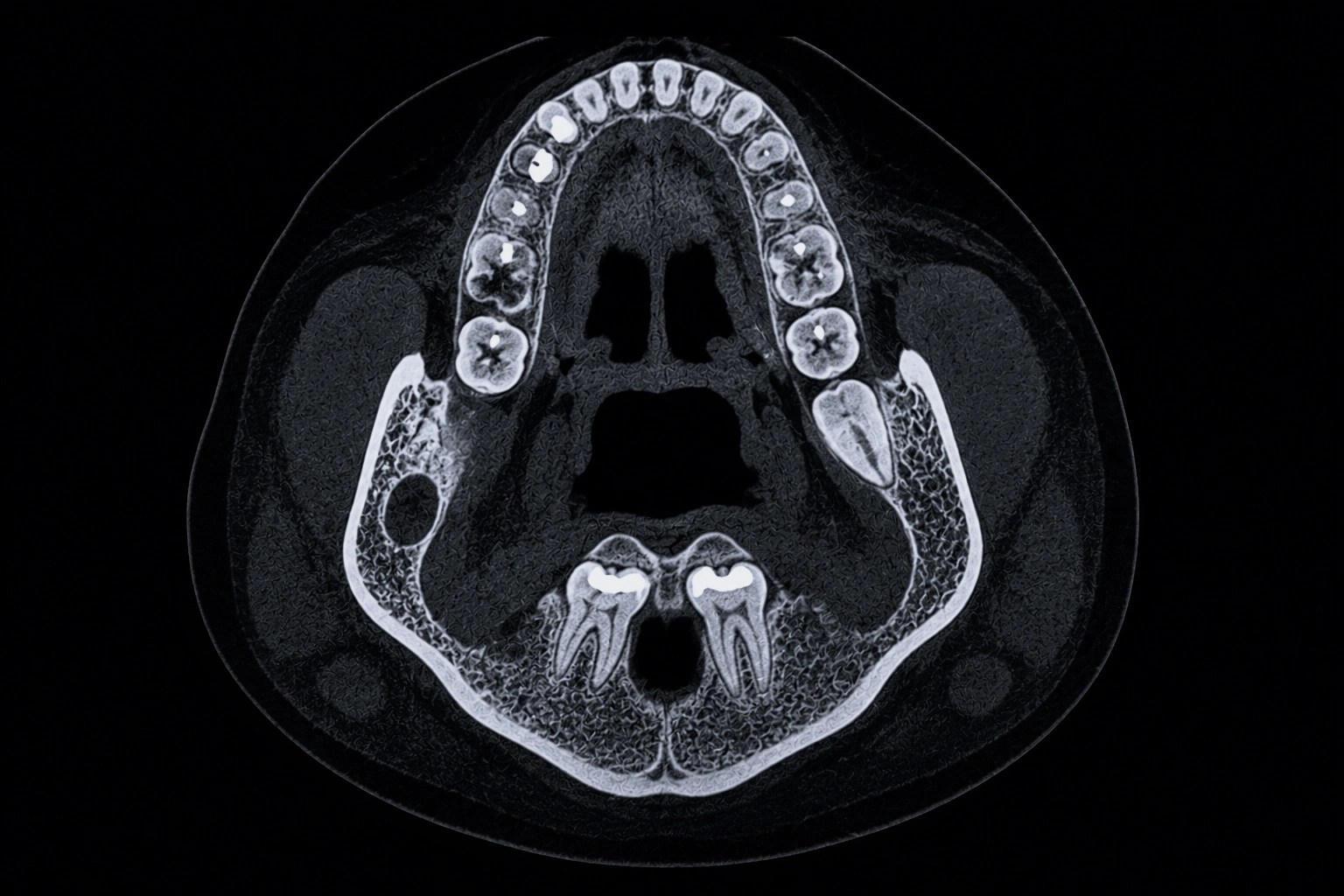 Digital Pathology AI Services