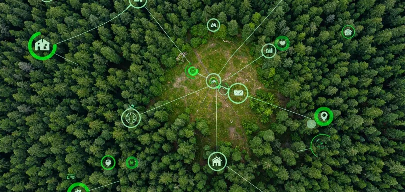 Navigating the EUDR AdargaGrow's Farm-Level Precision for Compliance