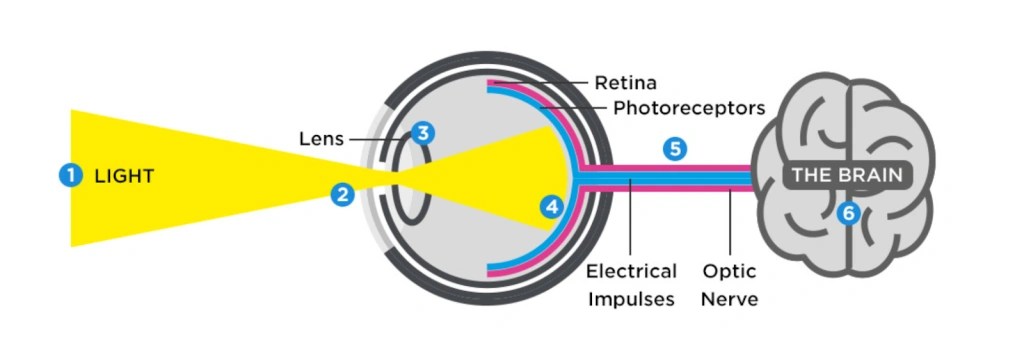 Computer vision in AI,Guide to computer vision,''What is Computer Vision''