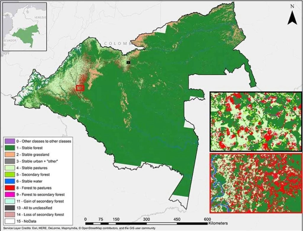 Mapping Deforestation