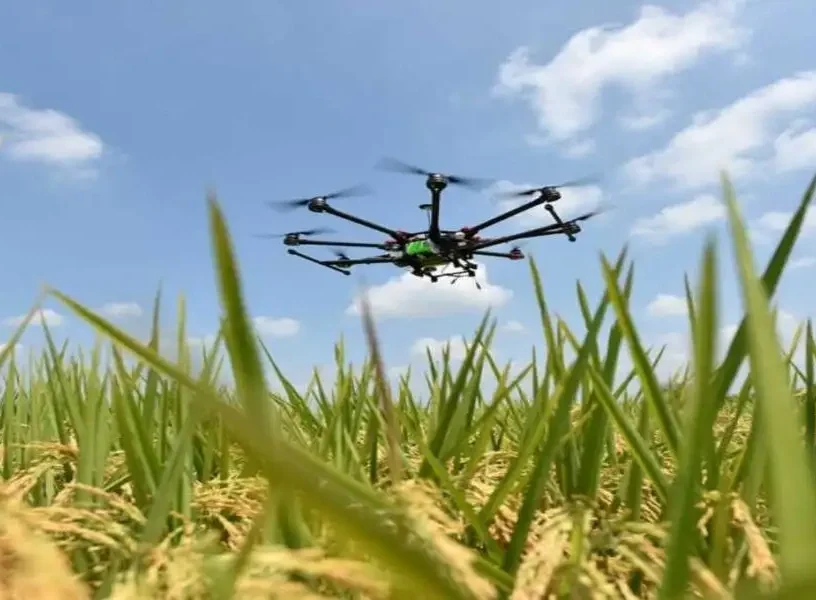 Drones and Computer Vision Used to Enhance Crop Yield How Drones and Computer Vision are Used to Enhance Crop Yield
