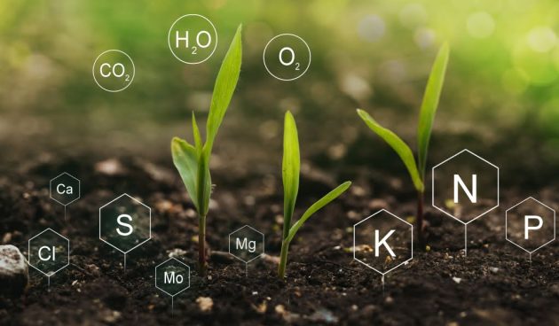 Chemical components in soil detected through an AI-powered dashboard developed by Adarga AI