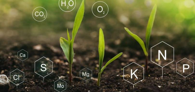 Chemical components in soil detected through an AI-powered dashboard developed by Adarga AI
