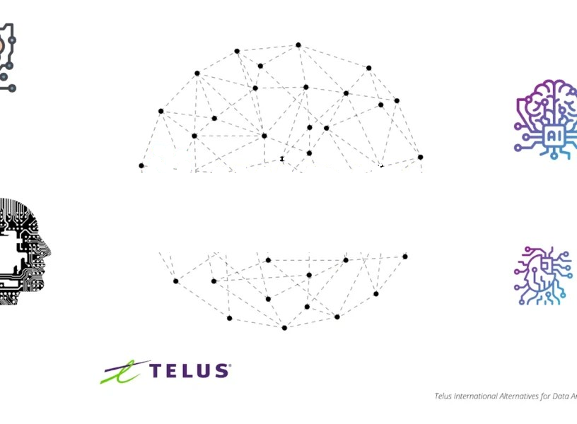 Telus International Alternatives